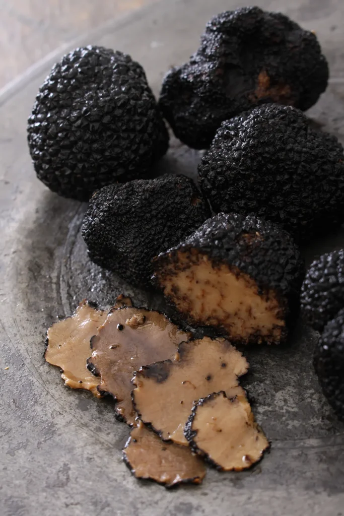 Truffle Hunting