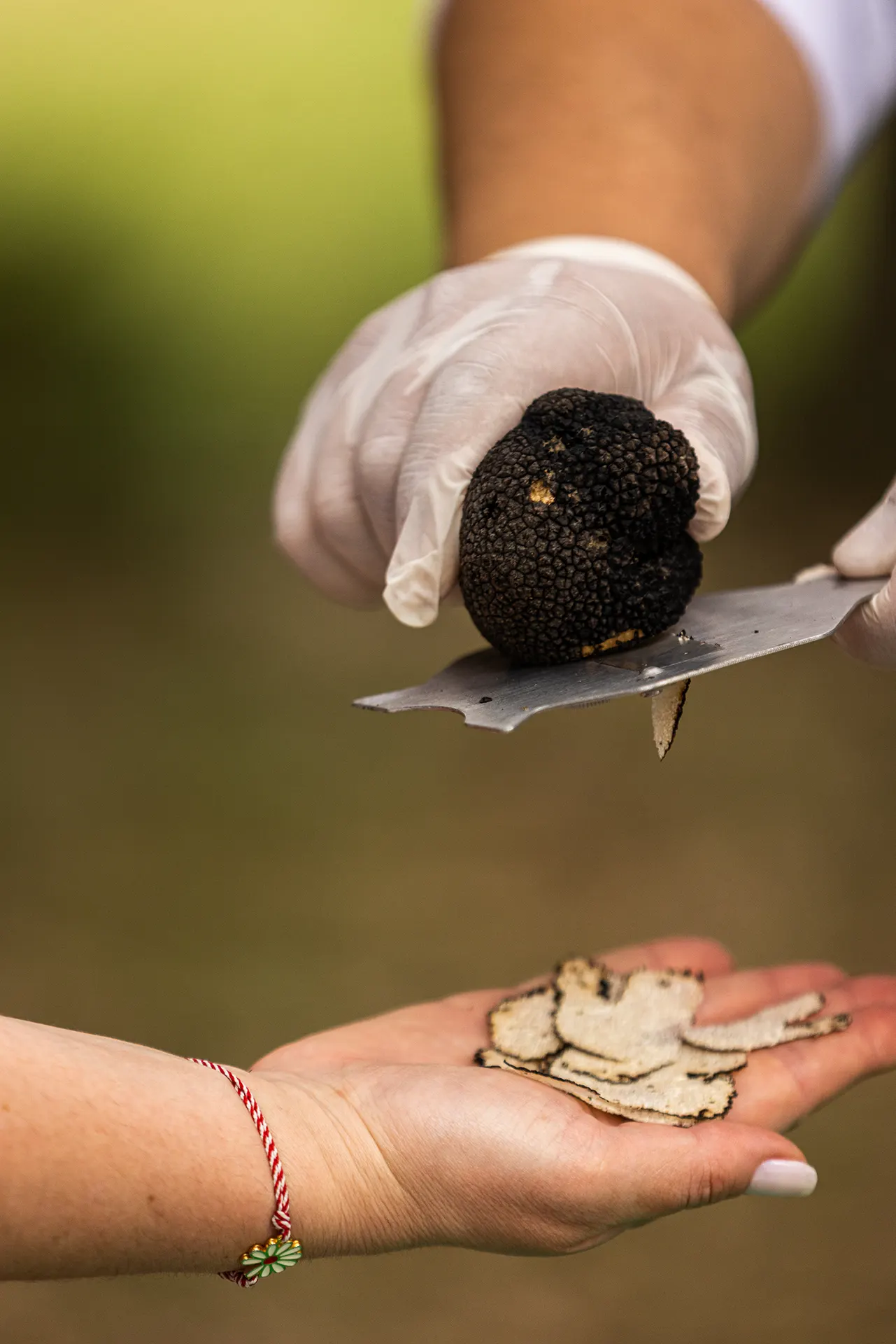Truffle Hunting