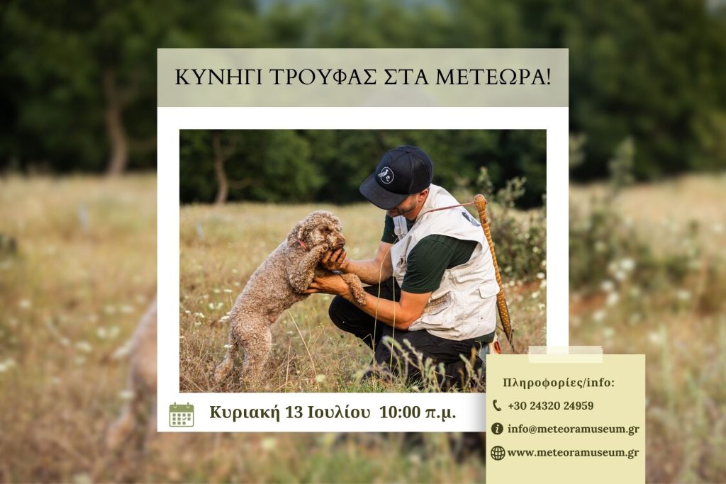 truffle hunting 13 july 2025