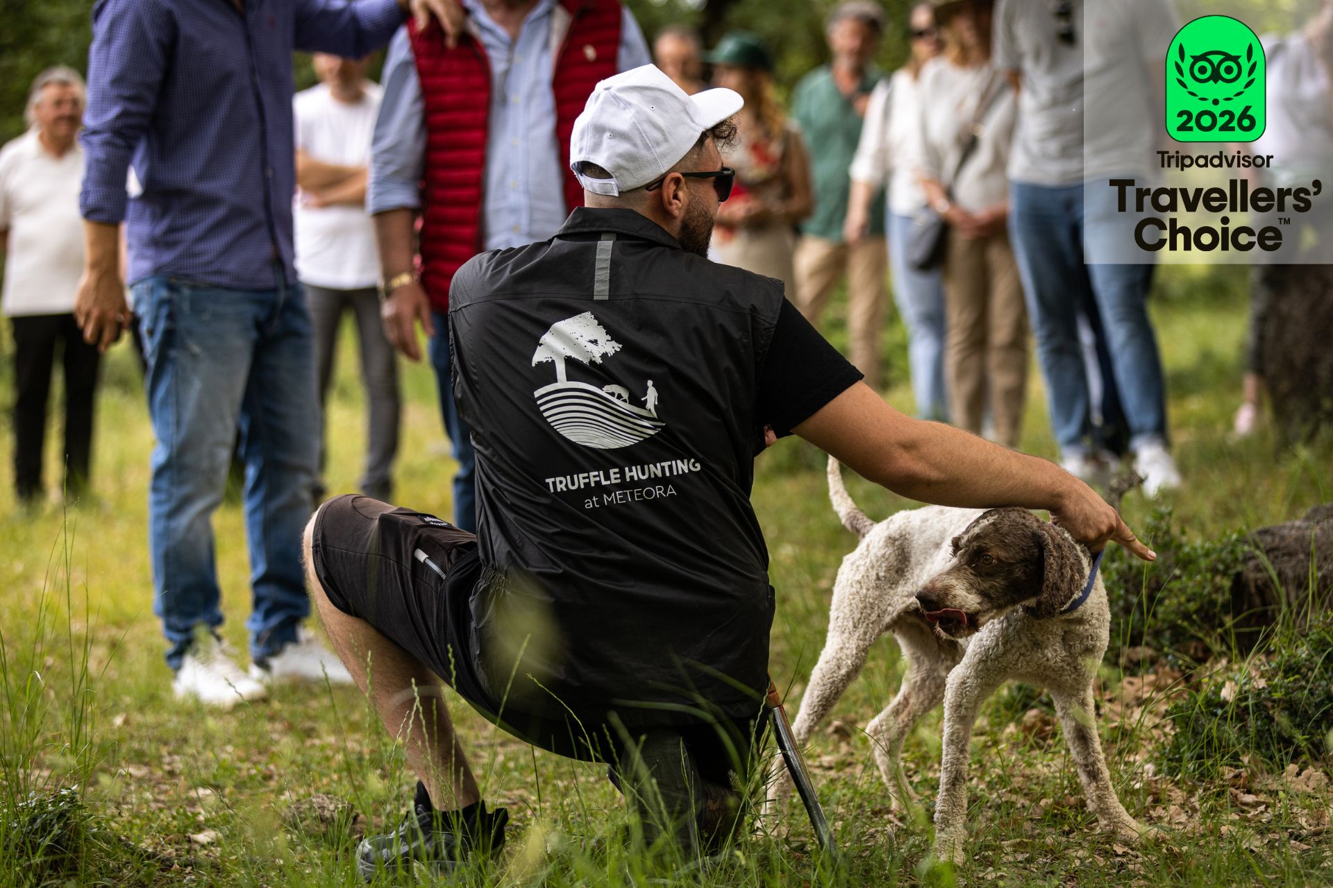 travellers' choice 2026